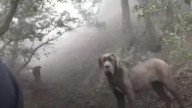 Hiker In California Follows Mysterious Shape Up A Mountain And Discovers Something Unbelievable
