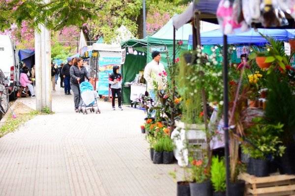 OPORTUNIDAD! Las Ferias de la Ciudad recorrerán plazas y espacios públicos