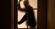 Repeat domestic violence offender sentenced in Wollongong court