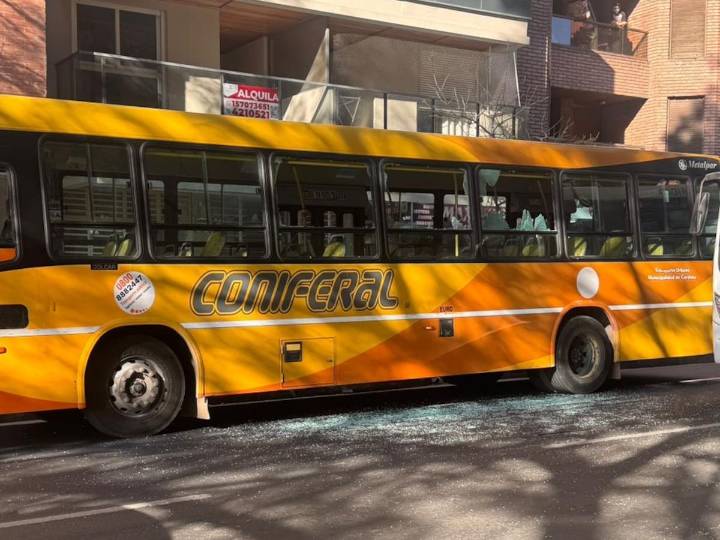 Ánimos alterados: destrozó un colectivo porque no le dejaron pagar el viaje en efectivo