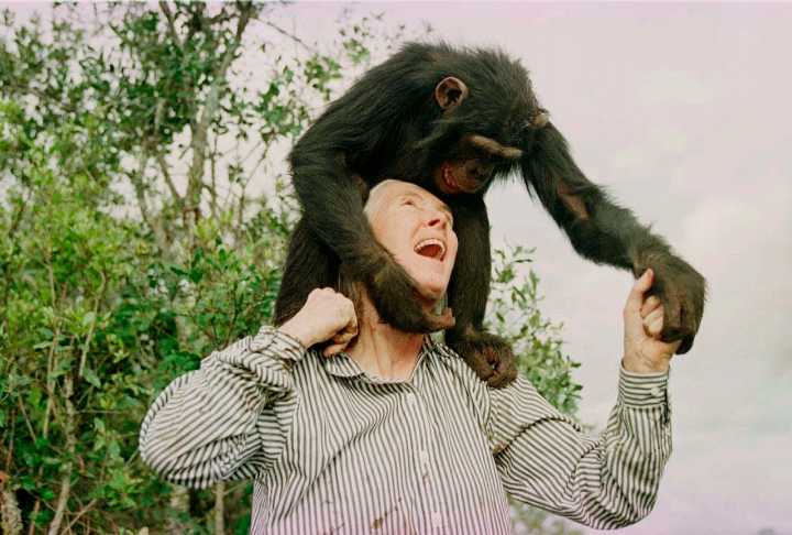 World famous conservationist Jane Goodall dead at 91