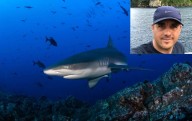 Científico mexicano sobrevive al mordisco de un tiburón en la cabeza