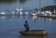 Políticas Ambientales en Michoacán: Un Compromiso con la Sustentabilidad