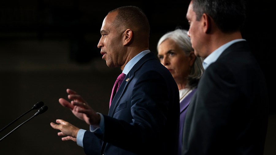 Democratic leaders hold firm in face of mass firing threat: 'Cruelty is the point'
