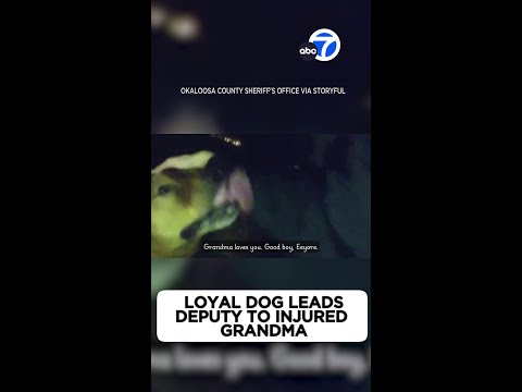 Loyal dog leads deputy to injured grandma