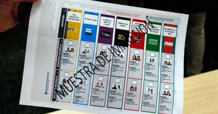 La mirada de los candidatos de Río Negro en tres temas que serán parte del Congreso que viene