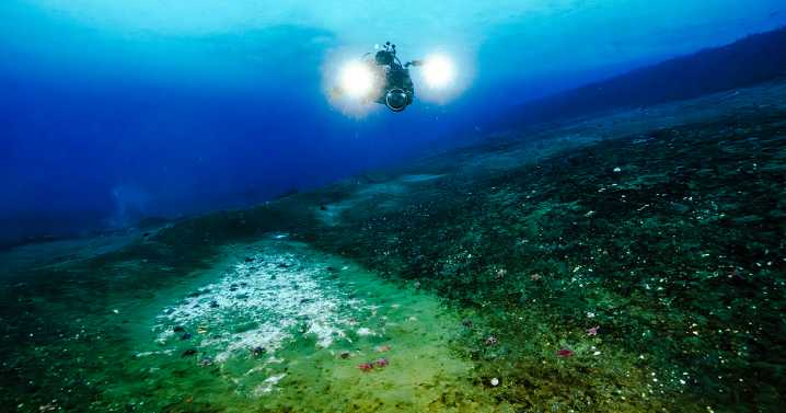 Scientists discovered something alarming seeping out from beneath the ocean around Antarctica