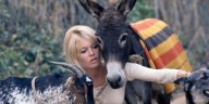 Los 9 desafíos contracorriente de Brigitte Bardot (91 años): “No tengo la intención de retirarme”