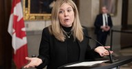 Conservatives want to end birthright citizenship for children of temporary residents