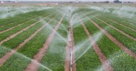 IID supports “Imagine a Day Without Water” 2025 awareness campaign message