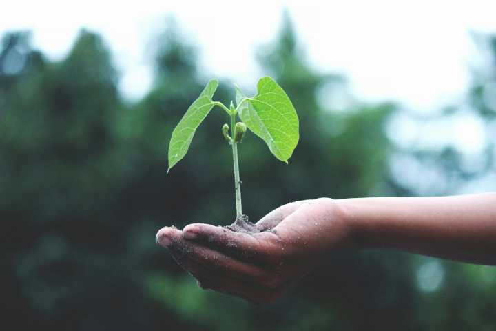 Opinión| La crisis climática también es humana