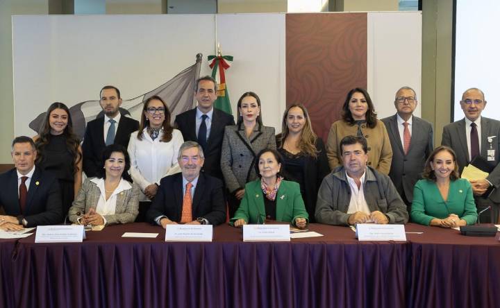Canciller De la Fuente alista reunión interparlamentaria México