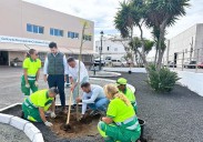 Arrecife no suma ofertas para la red de riego de zonas verdes