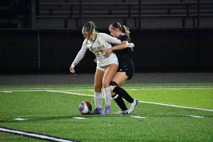 Last minute heartbreak: Hornets hand Gators first loss of the season