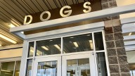 Council split on how to best address Lubbock's stray, dangerous dogs