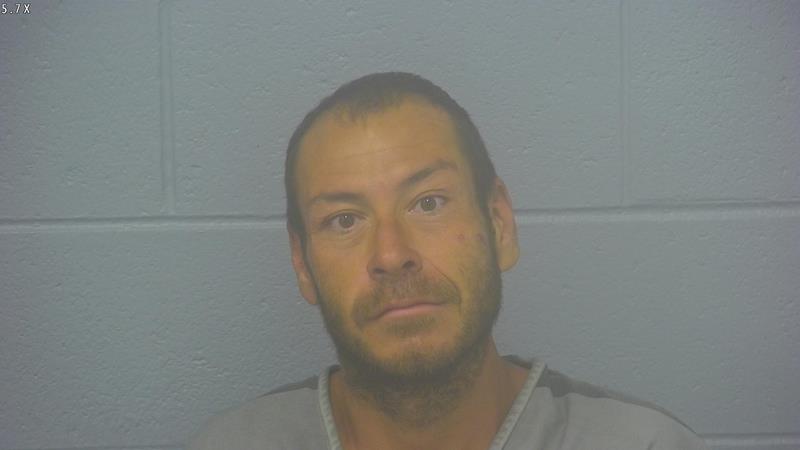 Springfield police: Man repeatedly kicked elderly woman in head during daylight attack