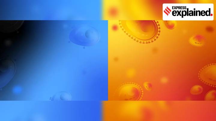 An Expert Explains: Painting targets on cancer cells