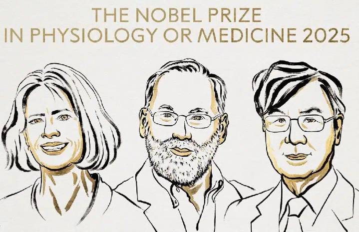 Científicos reciben el Nobel de Medicina por su descubrimientos en la tolerancia inmune periférica