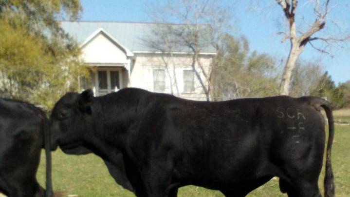 Fayette County seeks help locating missing 1