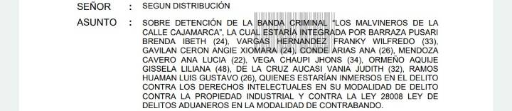 Ica: detienen a nueve comerciantes acusados de integrar banda “Los Malvineros de la calle Cajamarca”