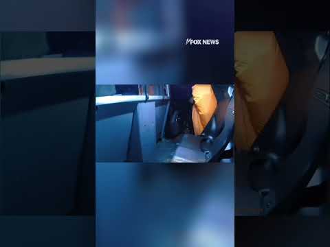 CAUGHT ON CAM: Runaway inflatable pumpkin wrangled by police #shorts #usa #news #new #viral
