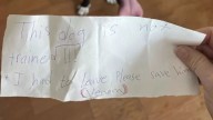 Arizona Dog Left With A Note In The Park Waits For Someone To Notice Him