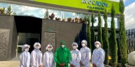 Avocados del Quindío: la empresa que le está apuntando al mercado asiático con aceite de aguacate 