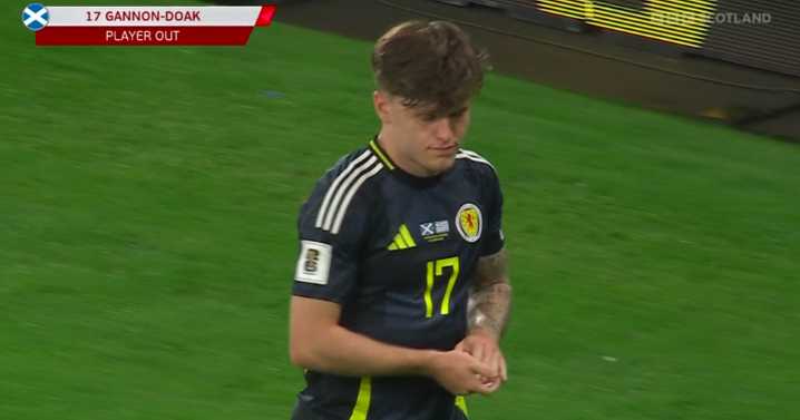 Ben Gannon-Doak rages at Scotland substitution as Steve Clarke faces instant inquiry