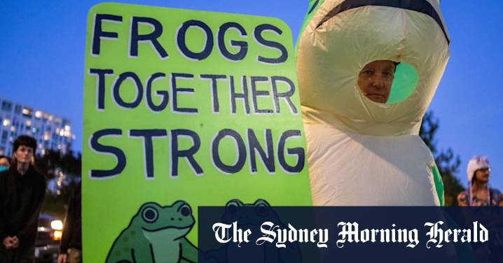 Defying Donald Trump, Portland frog leaps into action in inflatable protests outside ICE building