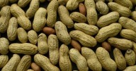 Peanut butter loving babies are licking allergies