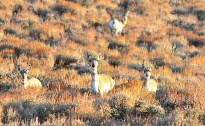 Home on the range ‘east of Farson’