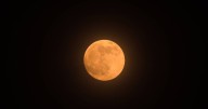 How to see rare supermoon tonight in London skies