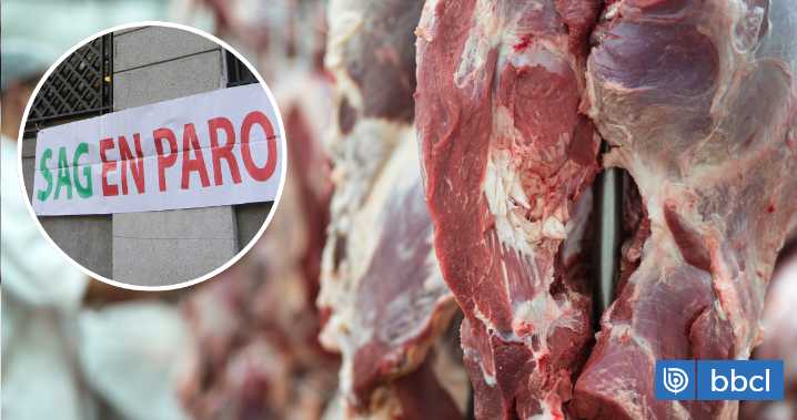 500 mil dólares diarios: plantas faenadoras de carne acusan millonarias pérdidas por paro del SAG