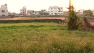 Odisha land reforms: How to apply for demarcation of land online; step