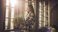 The Budget-Friendly Way To Make Your Spider Plant Look Full & Bushy