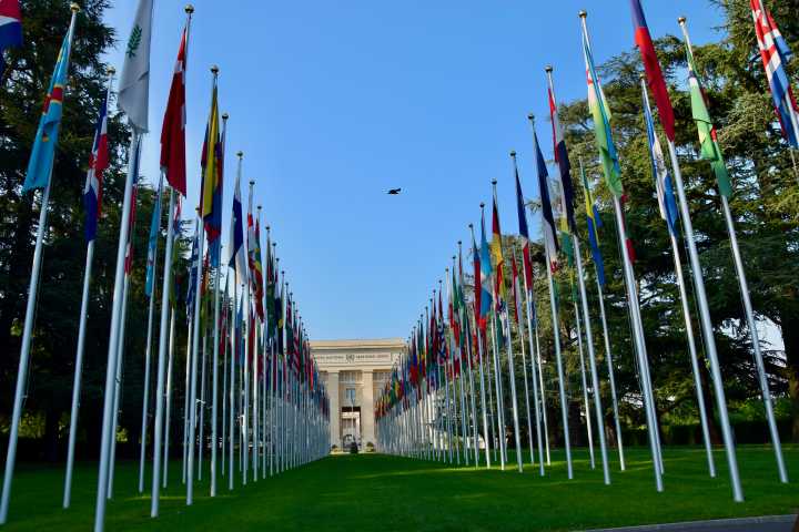 Rights group report advocates for crimes against humanity treaty