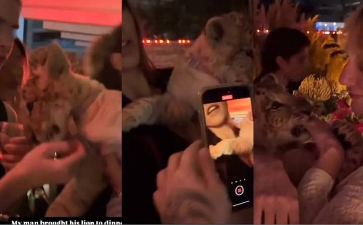 [VIDEO] Extravagante fiesta en Polanco desata indignación: Tenían un cachorro de león