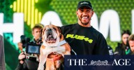 Lewis Hamilton dog death: F1 world mourns passing of bulldog Roscoe
