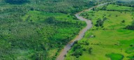 La deforestación mundial se ralentiza, pero los bosques siguen bajo presión