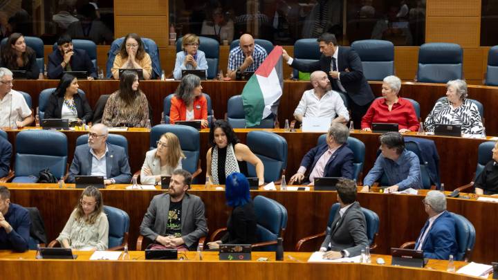 Una bandera de Palestina colocada por Más Madrid y retirada por el presidente agita la Asamblea