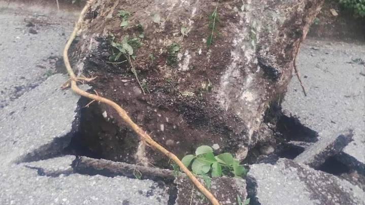 Lluvias provocan deslave y afectaciones viales en Santa Cruz, Tlalquiltenango