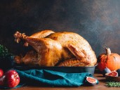 Sign Up Now For Birds n Bucks in Casper