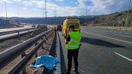 Muere un emú atropellado en la autovía GC-3 a la altura de Siete Palmas: la Policía Local de Las Palmas investiga el origen del animal y las causas del siniestro
