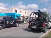 Rescatan a un león desnutrido dentro de una casa en Juárez, Nuevo León