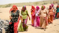 Why Barmer is a test case for the Congress leadership