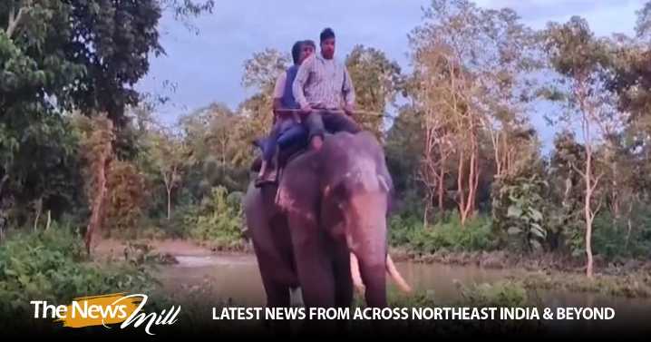 West Bengal: Wooden bridge collapses in Alipurdar’s Jaldapara Forest, tourists rescued by elephants