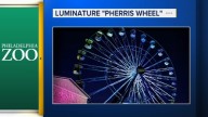 Philadelphia Zoo to debut 110-foot tall 'Pherris wheel' during LumiNature celebrations this holiday season