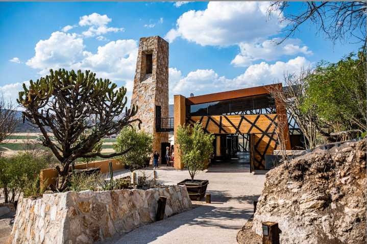 Puerta del Lobo, distinguida como la Bodega del Año 2025: un hito para el vino queretano