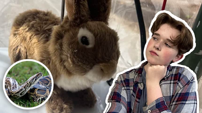 WATCH — Why robot rabbits are being used to catch snakes in Florida