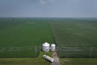 White House prepares bailout, but Illinois farmers would rather have the market than a cheque